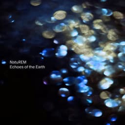 Echoes of the Earth - NatuREM