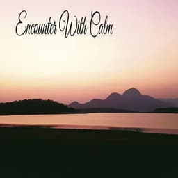 Encounter With Calm - Música Relajante