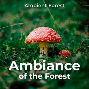 Ambiance of the Forest - Ambient Forest