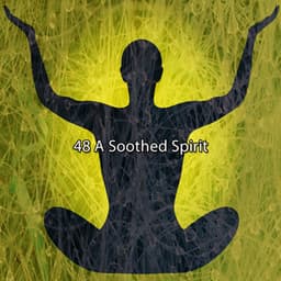 48 A Soothed Spirit - Música Zen Relaxante