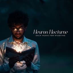 Neuron Nocturne: Work Music - Calm Music for Studying