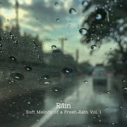 Rain: Soft Melody of a Fresh Rain Vol. 1 - The Rainforest Collective