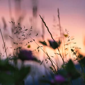 Positivity - Jordan Kingsley