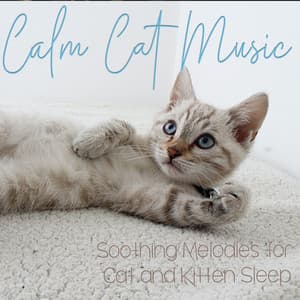 Calm Cat Music: Soothing Melodies for Cat and Kitten Sleep - RelaxMyCat