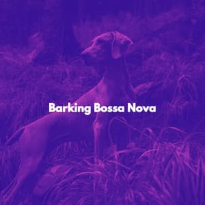 Barking Bossa Nova - Sunday Morning Music