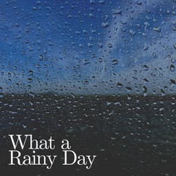 What a Rainy Day - Meditation Rain Sounds