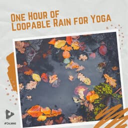 1 Hour of Loopable Rain for Yoga - #Calming