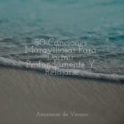 50 Canciones Maravillosas Para Dormir Profundamente Y Relajarse - Relaxing Music