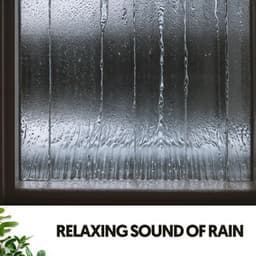 Study & Work Music: Melodies from the Storm - Dog Relaxation