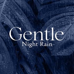 Gentle Night Rain: Restorative Sleep, Relaxation, Better Concentration - Zen Natural Sounds