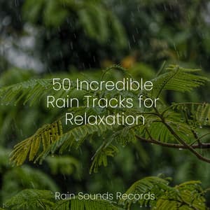 50 Incredible Rain Tracks for Relaxation - Sleep Sounds of Nature