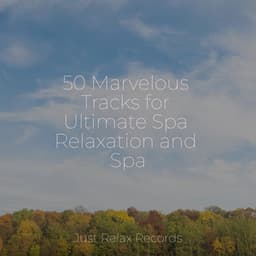 50 Marvelous Tracks for Ultimate Spa Relaxation and Spa - Nature Sounds Nature Music