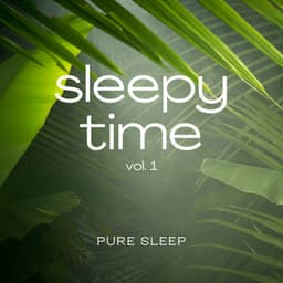 Sleepy Time vol. 1 - Sounds of the Jungle