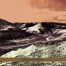 What Comes Before - Ben Goldberg