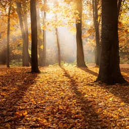 Music For The Unfolding Mystery - Relaxation Therapy Music Zone