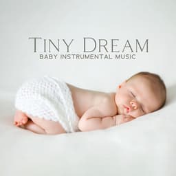Tiny Dream - Soothing Baby Music Zone