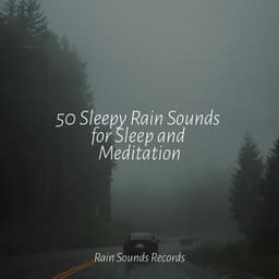 50 Sleepy Rain Sounds for Sleep and Meditation - Yoga Music
