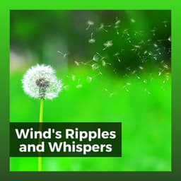 Wind's Ripples and Whispers - Sound of Nature Library