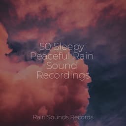 50 Sleepy Peaceful Rain Sound Recordings - Reiki Music
