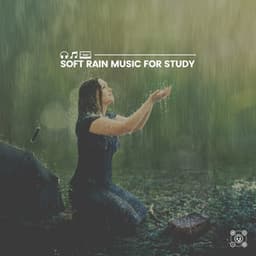 Soft Rain Music for Study - Pro Sound Effects Library