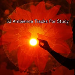 53 Ambience Tracks For Study - Meditation Group