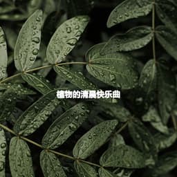 植物的清晨快乐曲 - Musica Tranquilla