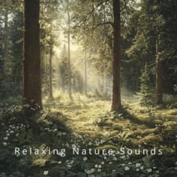 Nature Dreams: Healing Sounds for Relaxation - Relaxing Nature Sounds