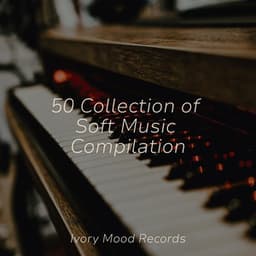 50 Collection of Soft Music Compilation - Ivory Mood