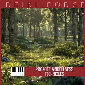 Promote Mindfulness Techniques - Reiki Force
