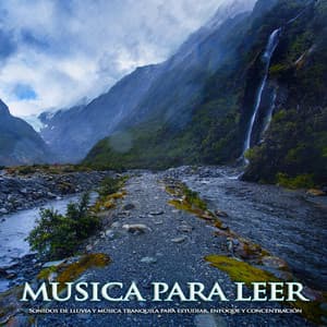 Musica para leer: Sonidos de lluvia y música tranquila para estudiar, enfoque y concentración - Musica Para Leer