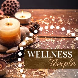 Wellness Temple – Zen Spa with Healing Nature Sounds, New Age Music, Ambient Music for Shiatsu Massage - Area Zen