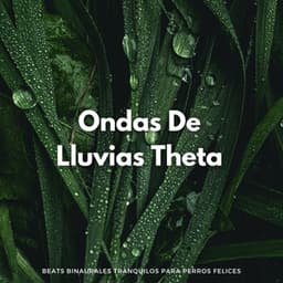 Ondas De Lluvias Theta: Beats Binaurales Tranquilos Para Perros Felices - Latidos Binaurales Puros