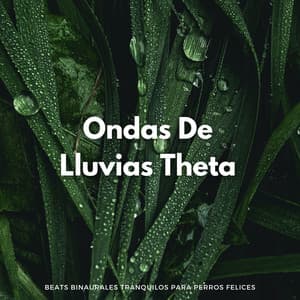 Ondas De Lluvias Theta: Beats Binaurales Tranquilos Para Perros Felices - Latidos Binaurales Puros