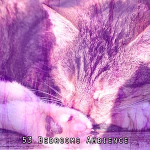 53 Bedrooms Ambience - Sleep Music Lullabies