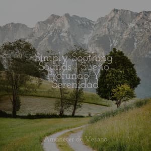 Simply Soothing Sounds | Sueño Profundo Y Serenidad - Musica de Piano Escuela