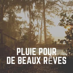 Pluie Pour de Beaux Rêves - Hi-Def FX