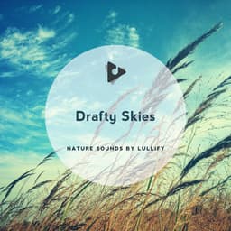 Drafty Skies - Nature Sounds by Lullify