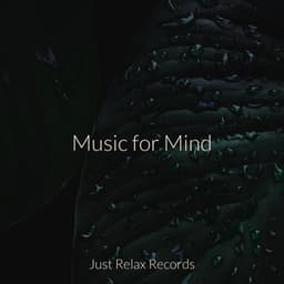 Music for Mind - Musica para Meditar