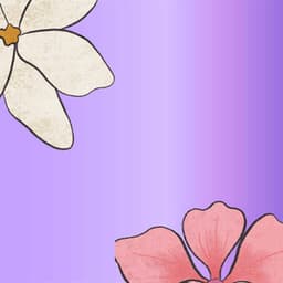 Music for Sunday Hits - Chill Jazz Playlist