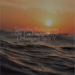 Sonidos Relajantes De La Naturaleza | Música | Spa Y Sueño - Música relajante con sonidos de la naturaleza