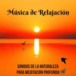 Música de Relajación con Sonidos de la Naturaleza para Meditación Profunda - Lucia Guiada