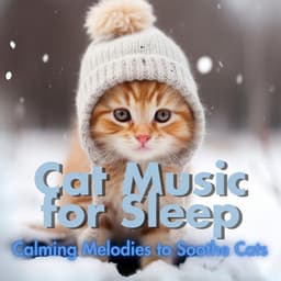 Cat Music for Sleep - Calming Melodies to Soothe Cats - Relax My Cat