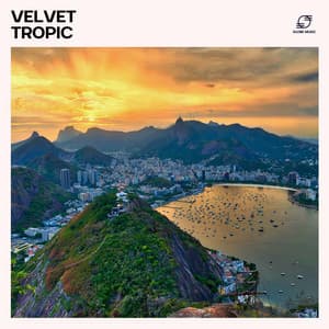 Velvet Tropic - Bossa Nova Lounge Club