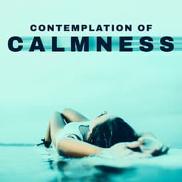 Contemplation of Calmness : Home Spa New Age Tones for Tired People - Spa Relaxing New Age Project