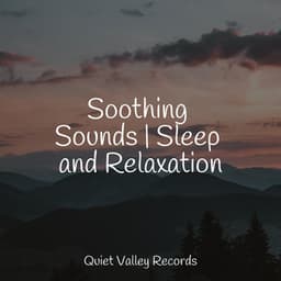 Soothing Sounds | Sleep and Relaxation - Rainy Sounds