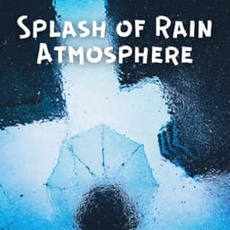 Splash of Rain Atmosphere - Ambiworld