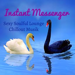 Instant Messenger - Sexy Soulful Lounge Chillout Musik för Söt Natt och Lätt Fitness - Erotic Pussycat