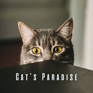Cat's Paradise: Nature's Tranquil Tunes and Chill Sounds - Nature Noise