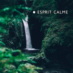 Esprit calme: Méditation quotidienne avec les sons de la nature, méthode de soulagement du stress - Zen Ambiance D'eau Calme