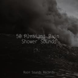 50 Pleasant Rain Shower Sounds - Sea Waves Sounds